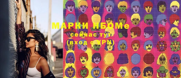 прущие грибы Пестово