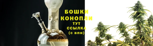 прущие грибы Пестово