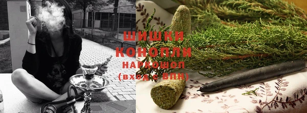 прущие грибы Пестово