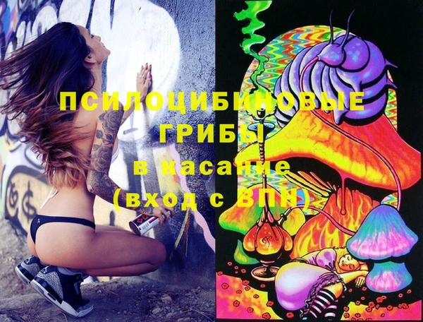 прущие грибы Пестово