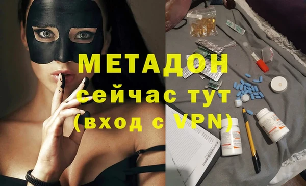 прущие грибы Пестово