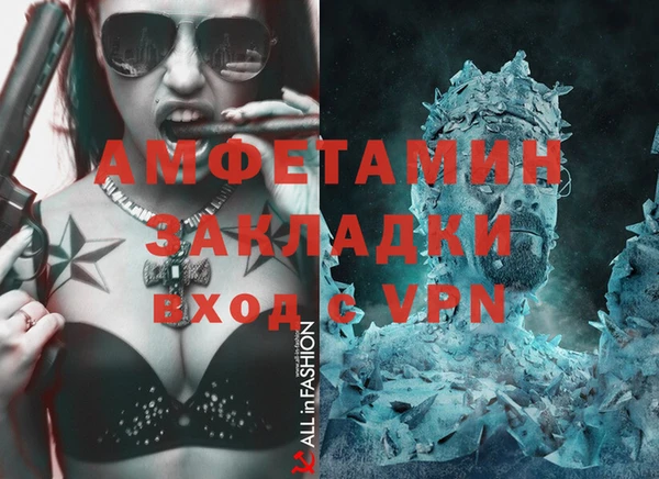 прущие грибы Пестово