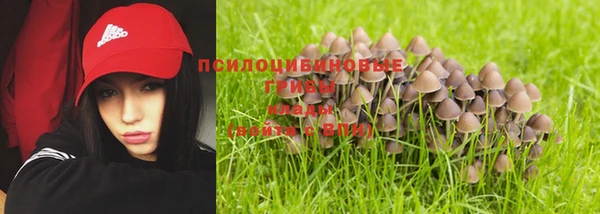 прущие грибы Пестово
