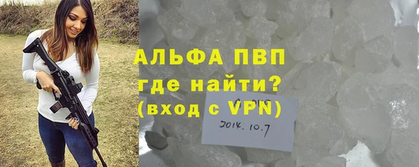 прущие грибы Пестово