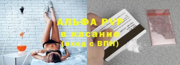 ГАЛЛЮЦИНОГЕННЫЕ ГРИБЫ Гатчина