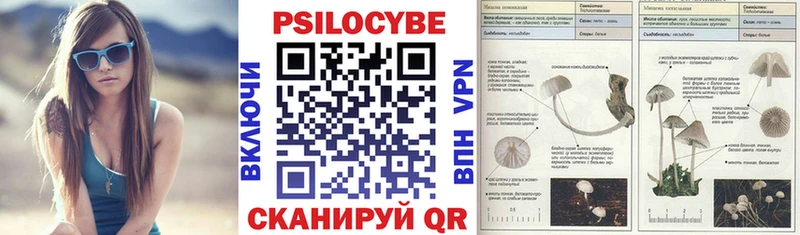Псилоцибиновые грибы Cubensis  Кремёнки 